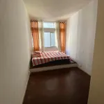 Vidtourbrasil